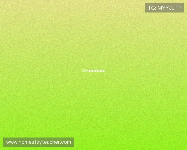 CBA季后赛辽粤大战抢五大战